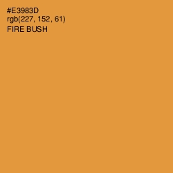 #E3983D - Fire Bush Color Image